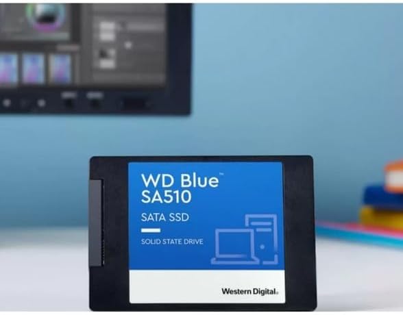 SSD W.DIGITAL BLU 500GB SA510 2,5 SATA
